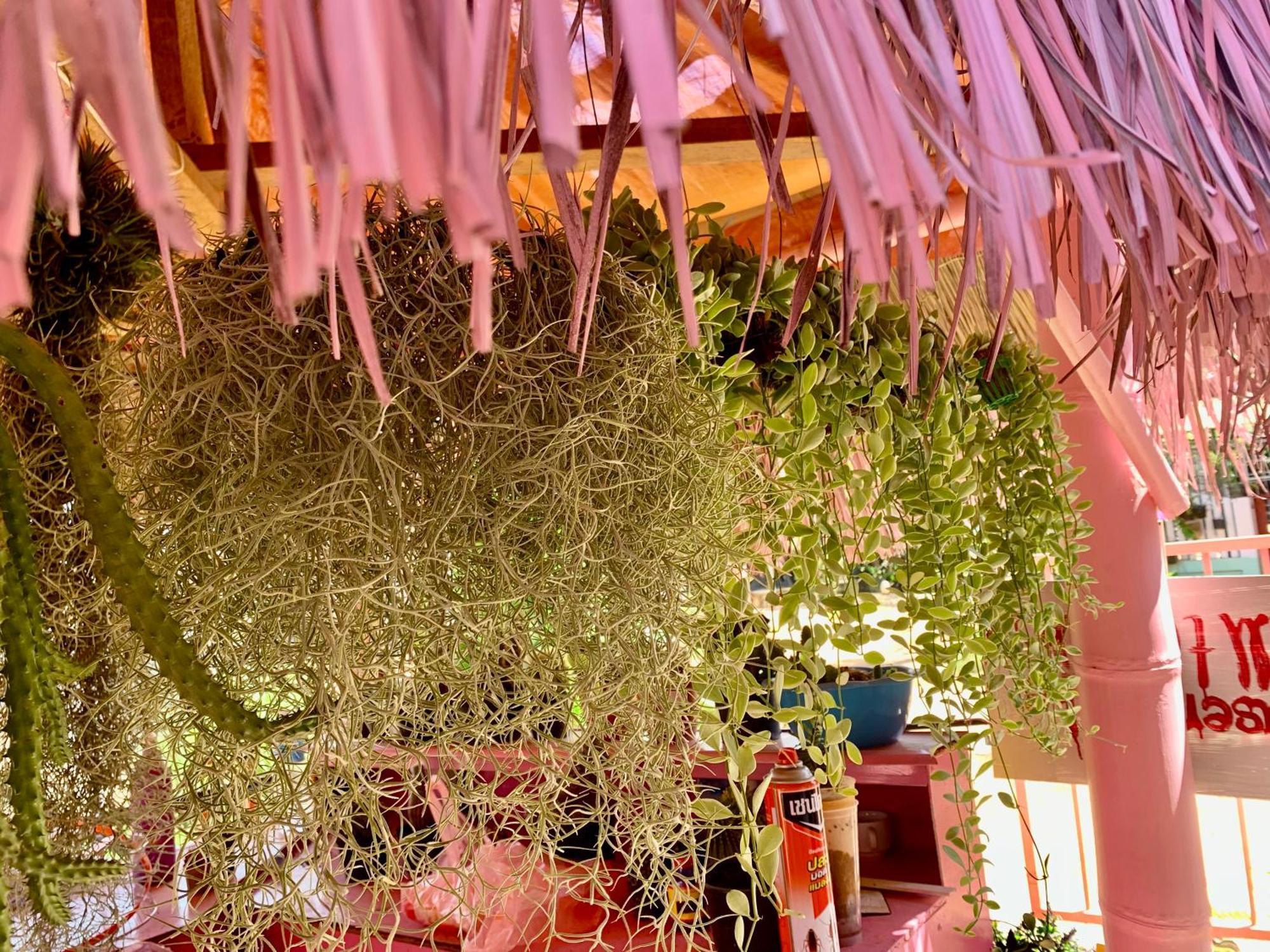 Heaven Guesthouse Паксе Экстерьер фото